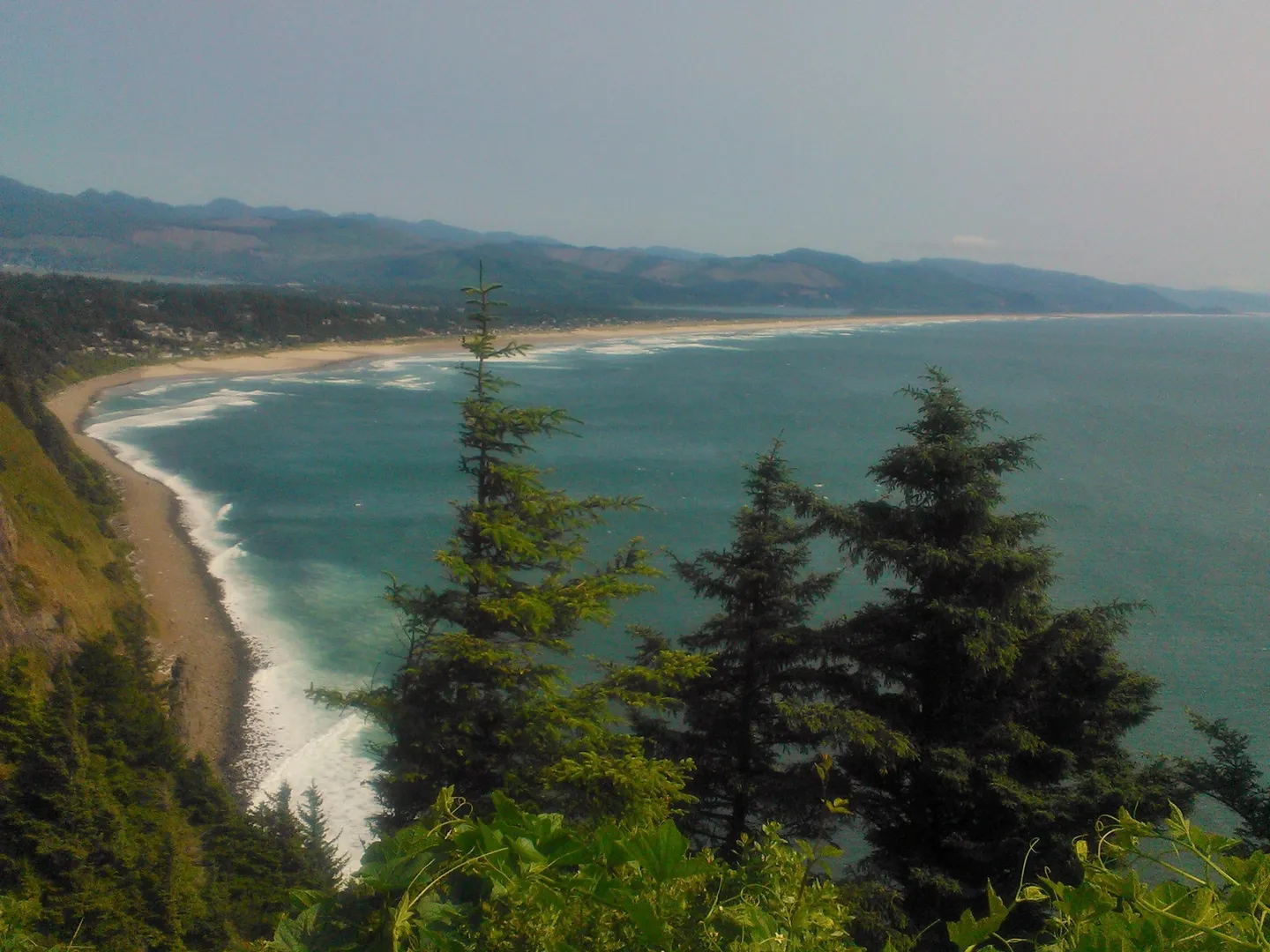 Coastal view with lush greenery and waves crashing on a sandy beach.